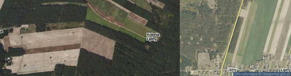 Zdjęcie satelitarne Kolonia Lipiny ul.